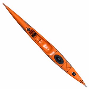 Carbonology Cruze X RT